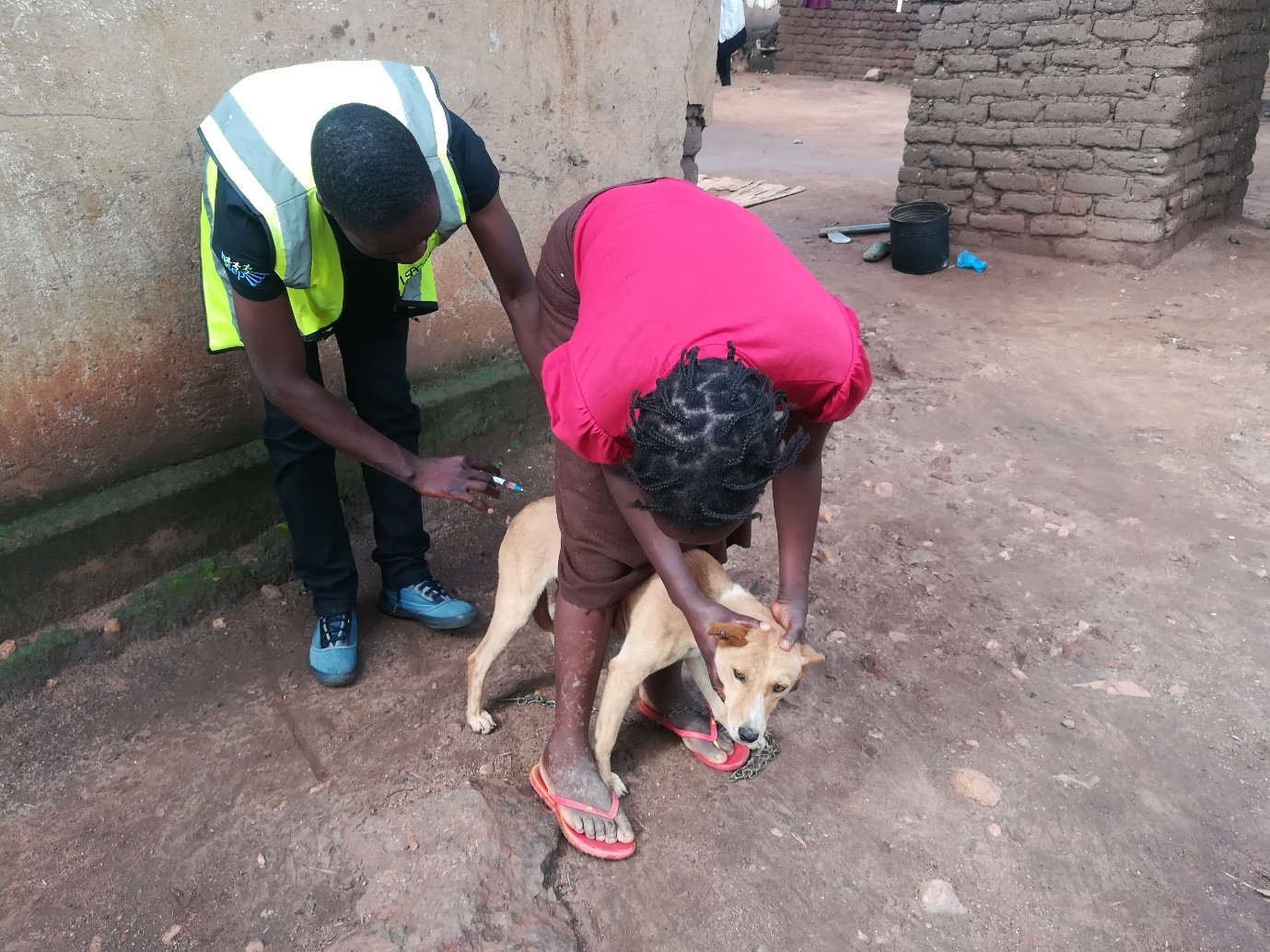 Why do we need to eliminate rabies?
