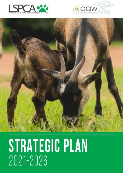 LSPCA Strategic Plan 2021-2026